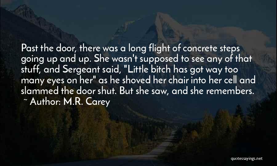 M.R. Carey Quotes: Past The Door, There Was A Long Flight Of Concrete Steps Going Up And Up. She Wasn't Supposed To See