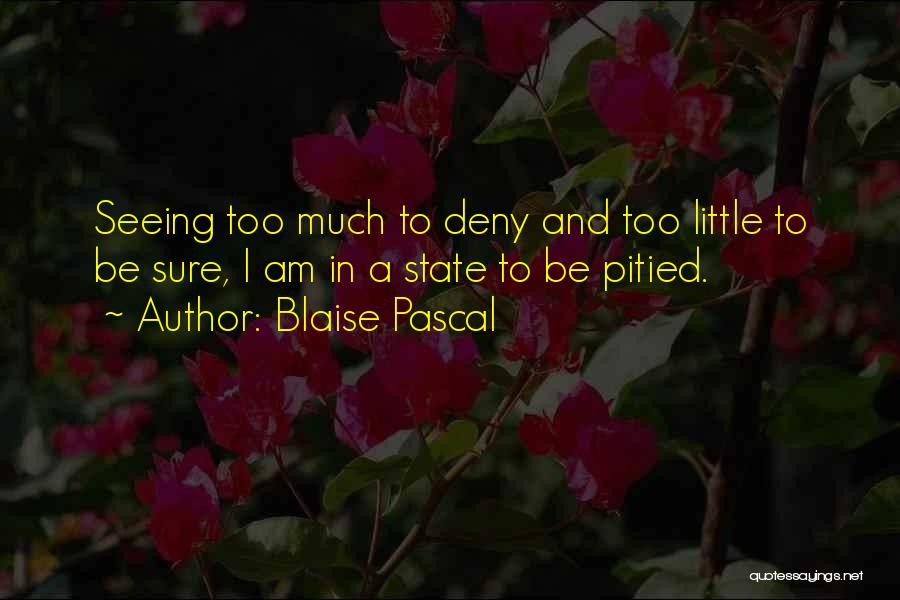 Blaise Pascal Quotes: Seeing Too Much To Deny And Too Little To Be Sure, I Am In A State To Be Pitied.