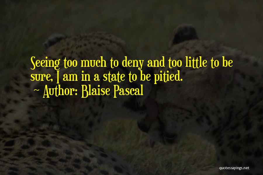 Blaise Pascal Quotes: Seeing Too Much To Deny And Too Little To Be Sure, I Am In A State To Be Pitied.