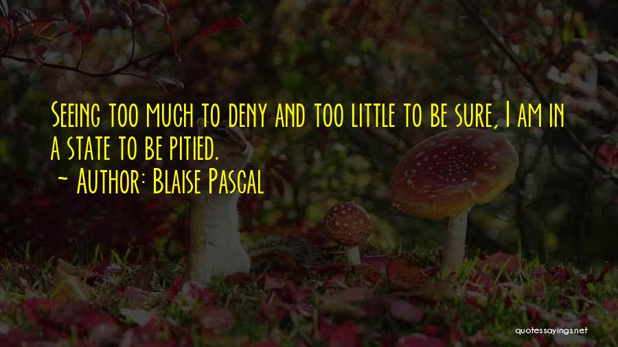 Blaise Pascal Quotes: Seeing Too Much To Deny And Too Little To Be Sure, I Am In A State To Be Pitied.