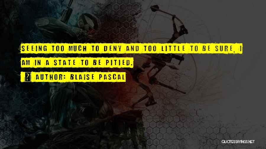 Blaise Pascal Quotes: Seeing Too Much To Deny And Too Little To Be Sure, I Am In A State To Be Pitied.