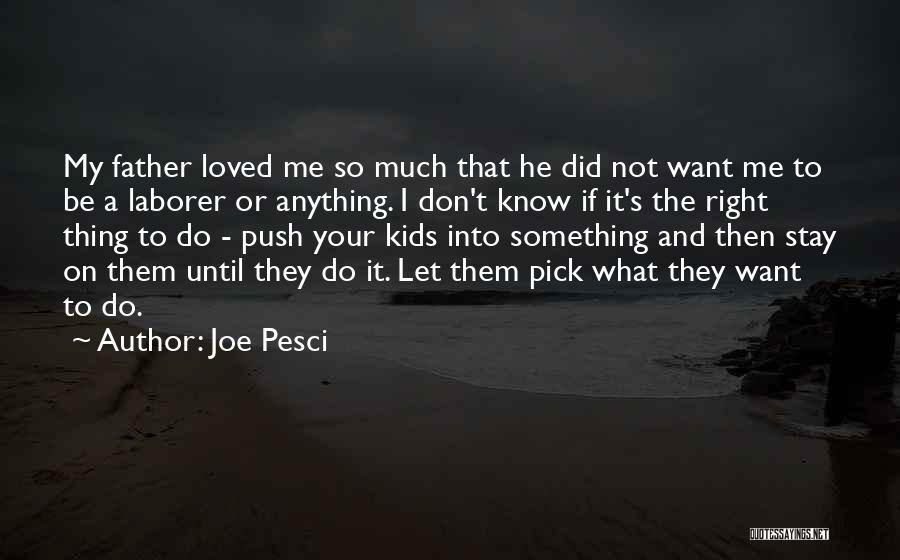 Joe Pesci Quotes: My Father Loved Me So Much That He Did Not Want Me To Be A Laborer Or Anything. I Don't