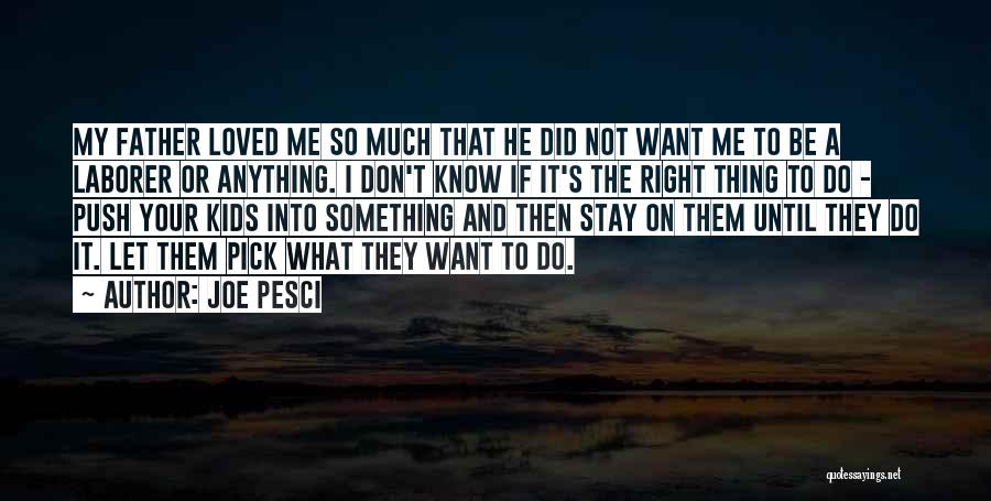 Joe Pesci Quotes: My Father Loved Me So Much That He Did Not Want Me To Be A Laborer Or Anything. I Don't