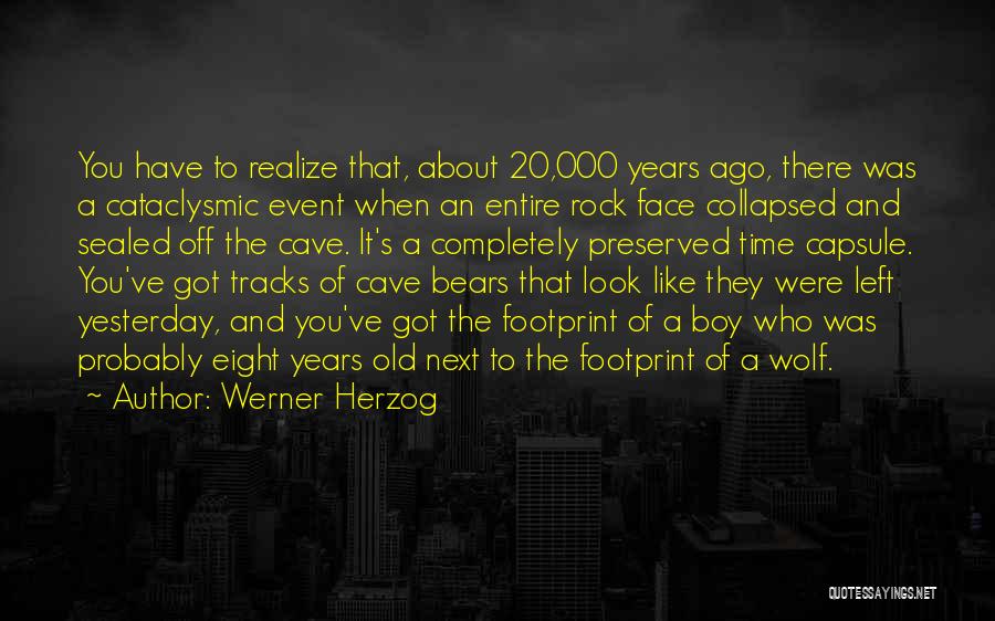 Werner Herzog Quotes: You Have To Realize That, About 20,000 Years Ago, There Was A Cataclysmic Event When An Entire Rock Face Collapsed