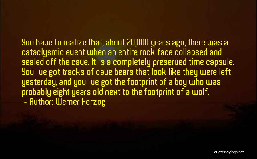 Werner Herzog Quotes: You Have To Realize That, About 20,000 Years Ago, There Was A Cataclysmic Event When An Entire Rock Face Collapsed