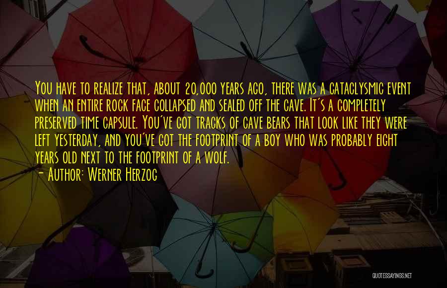 Werner Herzog Quotes: You Have To Realize That, About 20,000 Years Ago, There Was A Cataclysmic Event When An Entire Rock Face Collapsed