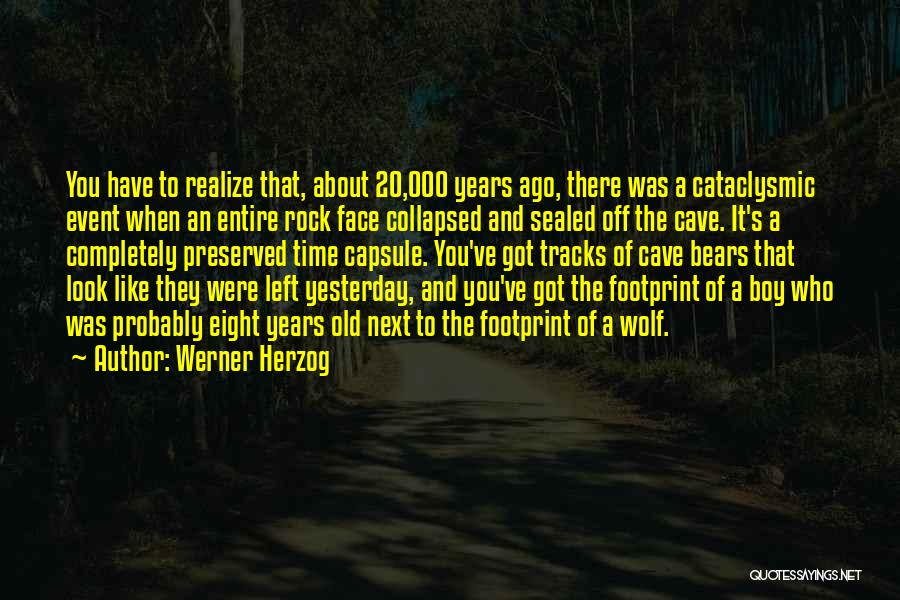 Werner Herzog Quotes: You Have To Realize That, About 20,000 Years Ago, There Was A Cataclysmic Event When An Entire Rock Face Collapsed