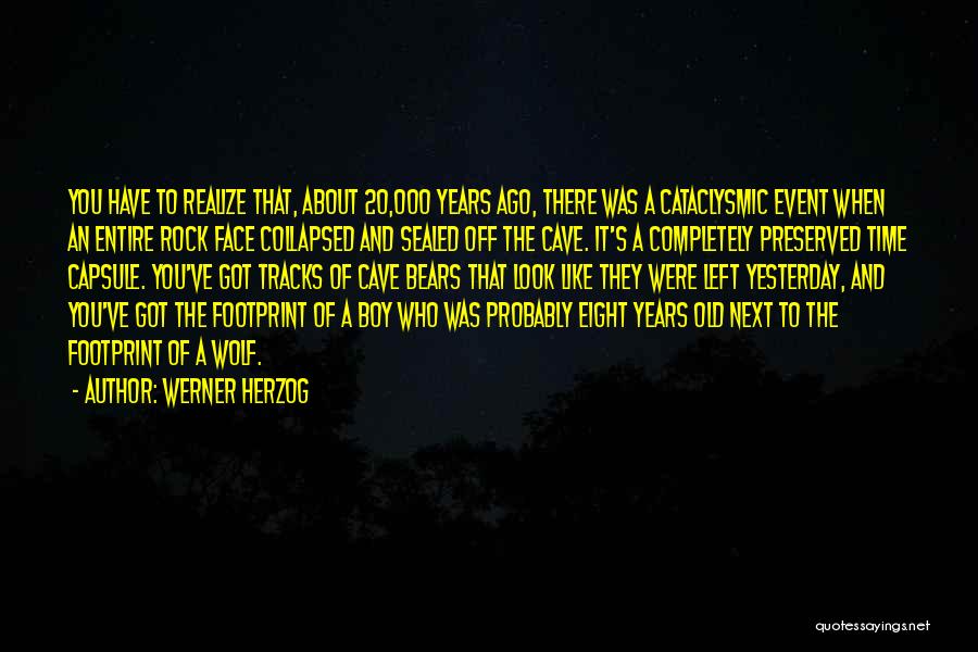 Werner Herzog Quotes: You Have To Realize That, About 20,000 Years Ago, There Was A Cataclysmic Event When An Entire Rock Face Collapsed