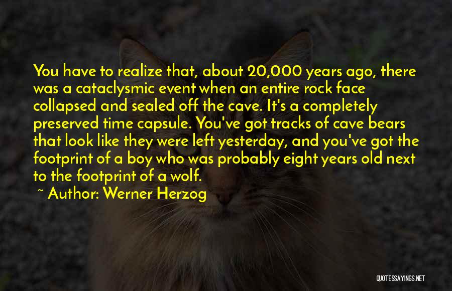 Werner Herzog Quotes: You Have To Realize That, About 20,000 Years Ago, There Was A Cataclysmic Event When An Entire Rock Face Collapsed