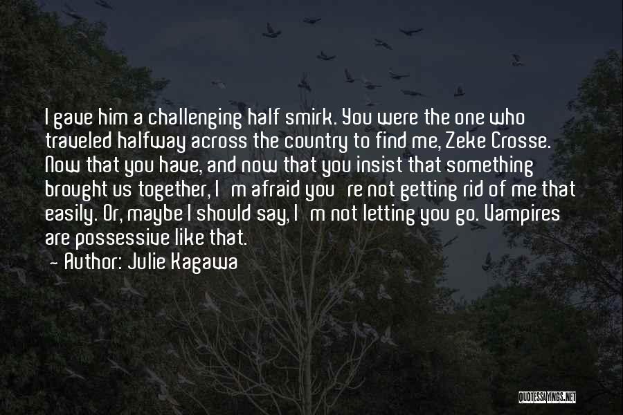 Julie Kagawa Quotes: I Gave Him A Challenging Half Smirk. You Were The One Who Traveled Halfway Across The Country To Find Me,