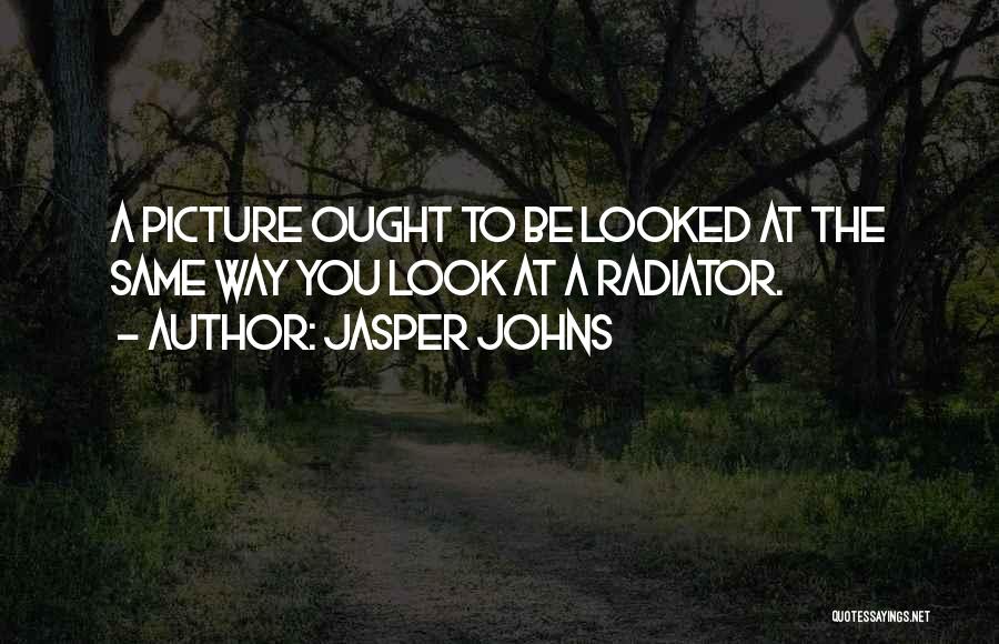 Jasper Johns Quotes: A Picture Ought To Be Looked At The Same Way You Look At A Radiator.