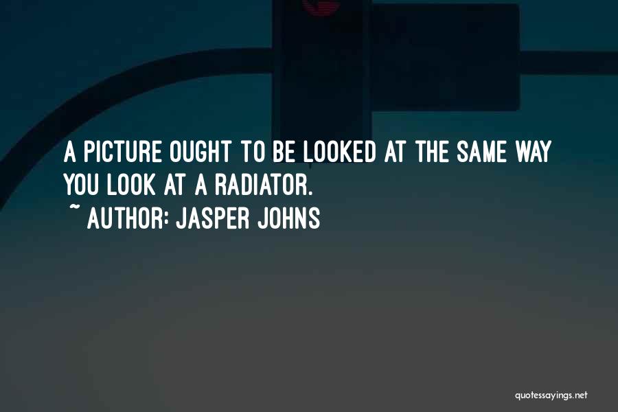 Jasper Johns Quotes: A Picture Ought To Be Looked At The Same Way You Look At A Radiator.