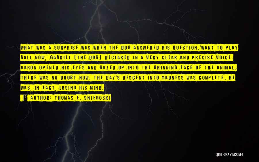 Thomas E. Sniegoski Quotes: What Was A Surprise Was When The Dog Answered His Question.'want To Play Ball Now,' Gabriel [the Dog] Declared In