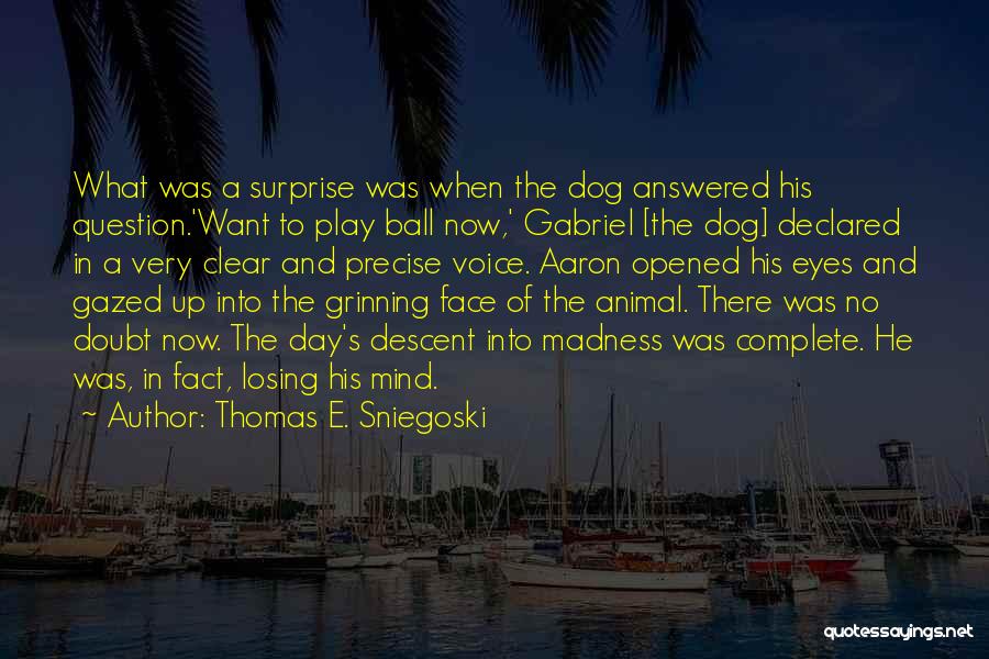 Thomas E. Sniegoski Quotes: What Was A Surprise Was When The Dog Answered His Question.'want To Play Ball Now,' Gabriel [the Dog] Declared In