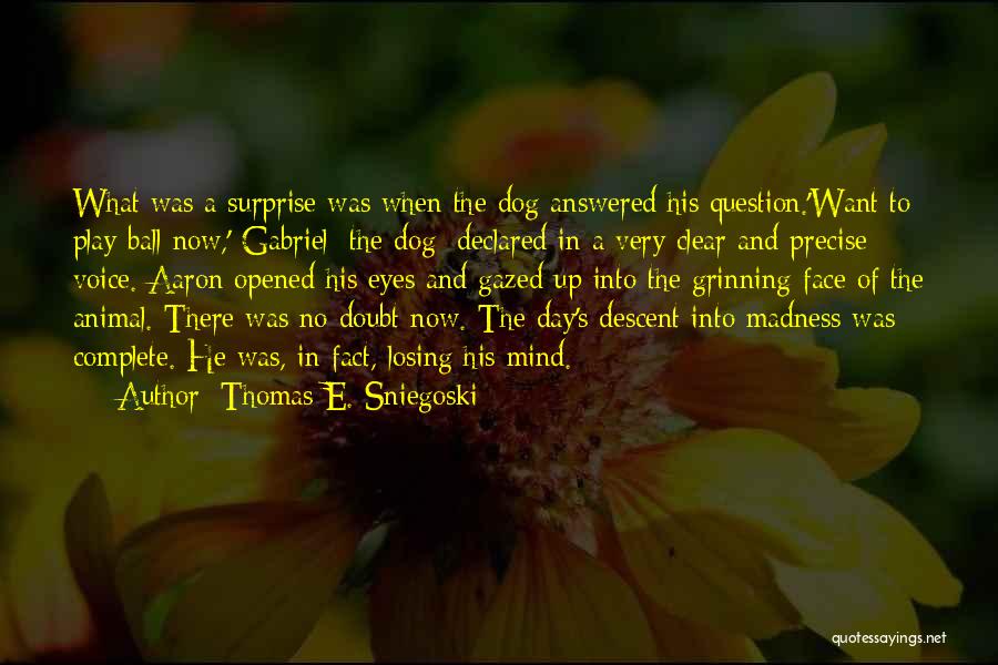 Thomas E. Sniegoski Quotes: What Was A Surprise Was When The Dog Answered His Question.'want To Play Ball Now,' Gabriel [the Dog] Declared In