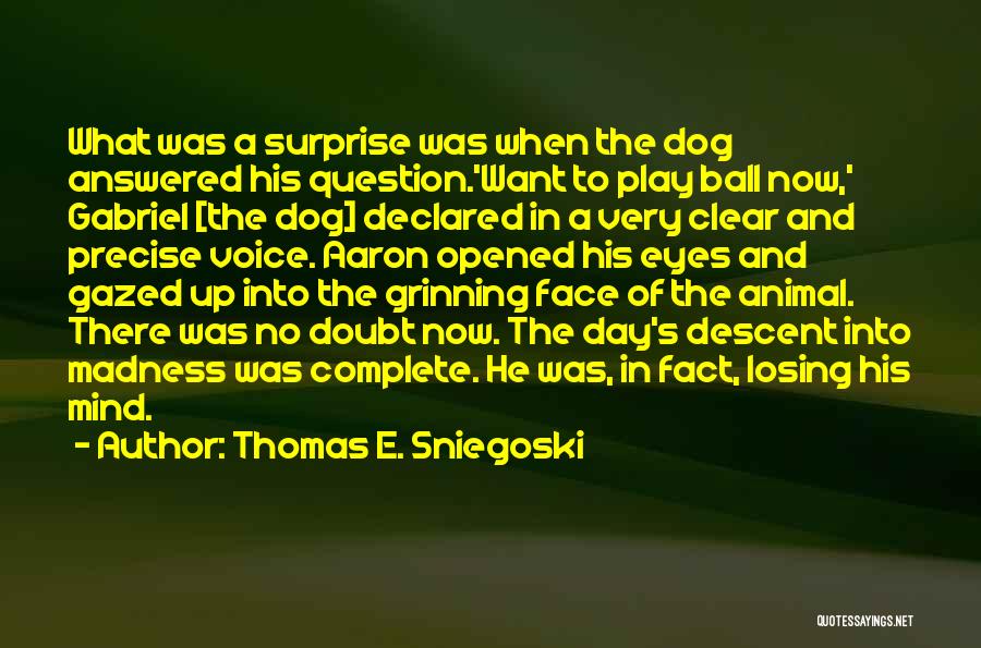 Thomas E. Sniegoski Quotes: What Was A Surprise Was When The Dog Answered His Question.'want To Play Ball Now,' Gabriel [the Dog] Declared In