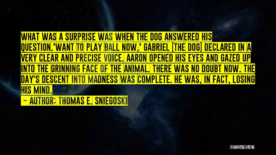 Thomas E. Sniegoski Quotes: What Was A Surprise Was When The Dog Answered His Question.'want To Play Ball Now,' Gabriel [the Dog] Declared In