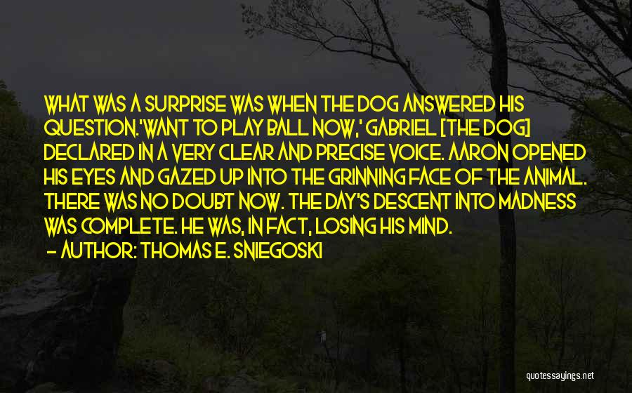 Thomas E. Sniegoski Quotes: What Was A Surprise Was When The Dog Answered His Question.'want To Play Ball Now,' Gabriel [the Dog] Declared In