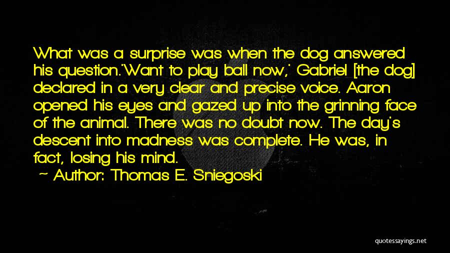 Thomas E. Sniegoski Quotes: What Was A Surprise Was When The Dog Answered His Question.'want To Play Ball Now,' Gabriel [the Dog] Declared In