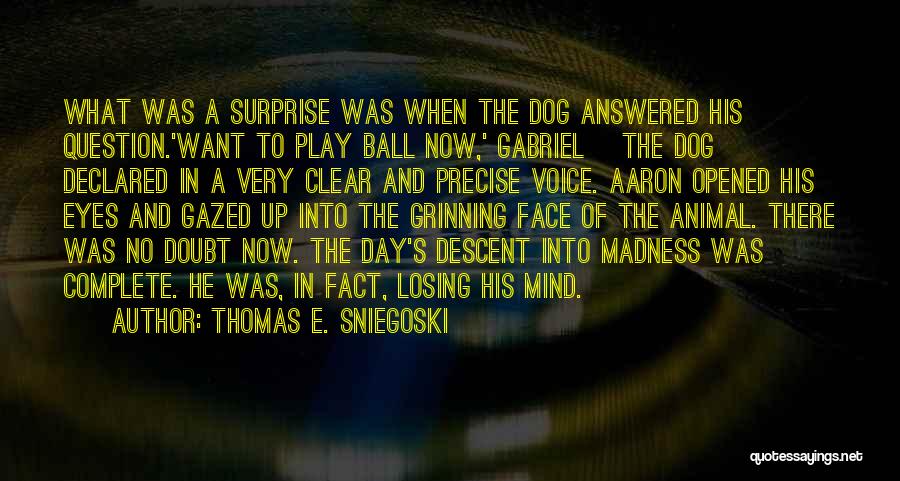 Thomas E. Sniegoski Quotes: What Was A Surprise Was When The Dog Answered His Question.'want To Play Ball Now,' Gabriel [the Dog] Declared In