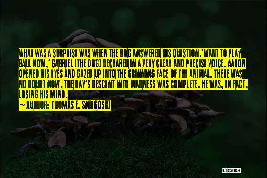 Thomas E. Sniegoski Quotes: What Was A Surprise Was When The Dog Answered His Question.'want To Play Ball Now,' Gabriel [the Dog] Declared In