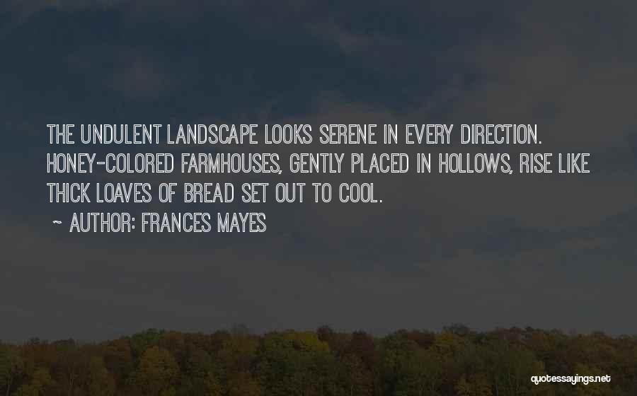 Frances Mayes Quotes: The Undulent Landscape Looks Serene In Every Direction. Honey-colored Farmhouses, Gently Placed In Hollows, Rise Like Thick Loaves Of Bread