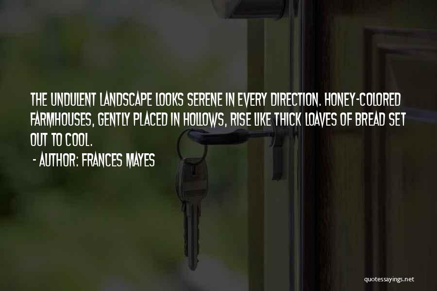 Frances Mayes Quotes: The Undulent Landscape Looks Serene In Every Direction. Honey-colored Farmhouses, Gently Placed In Hollows, Rise Like Thick Loaves Of Bread