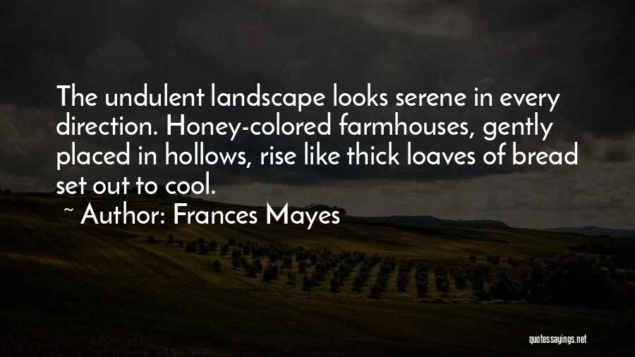 Frances Mayes Quotes: The Undulent Landscape Looks Serene In Every Direction. Honey-colored Farmhouses, Gently Placed In Hollows, Rise Like Thick Loaves Of Bread