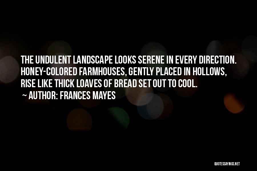 Frances Mayes Quotes: The Undulent Landscape Looks Serene In Every Direction. Honey-colored Farmhouses, Gently Placed In Hollows, Rise Like Thick Loaves Of Bread