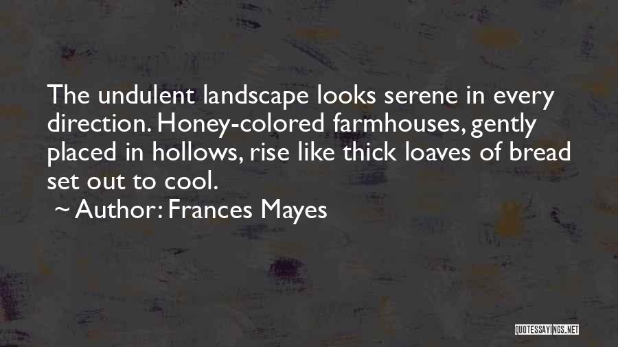 Frances Mayes Quotes: The Undulent Landscape Looks Serene In Every Direction. Honey-colored Farmhouses, Gently Placed In Hollows, Rise Like Thick Loaves Of Bread