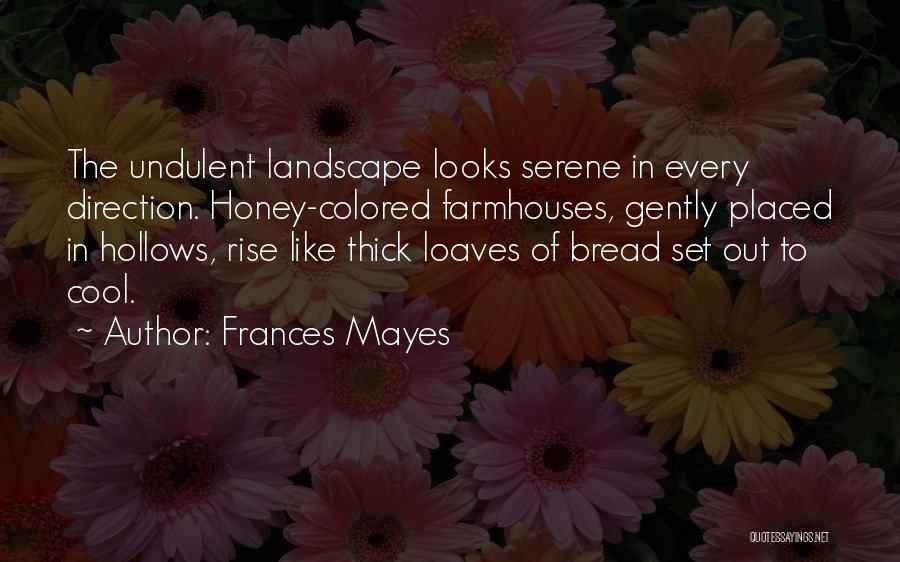 Frances Mayes Quotes: The Undulent Landscape Looks Serene In Every Direction. Honey-colored Farmhouses, Gently Placed In Hollows, Rise Like Thick Loaves Of Bread