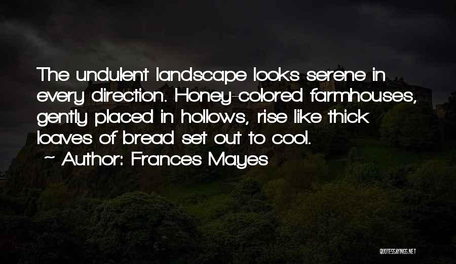 Frances Mayes Quotes: The Undulent Landscape Looks Serene In Every Direction. Honey-colored Farmhouses, Gently Placed In Hollows, Rise Like Thick Loaves Of Bread