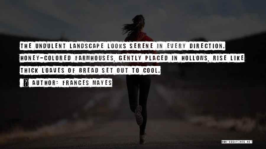 Frances Mayes Quotes: The Undulent Landscape Looks Serene In Every Direction. Honey-colored Farmhouses, Gently Placed In Hollows, Rise Like Thick Loaves Of Bread