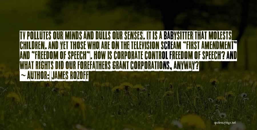James Rozoff Quotes: Tv Pollutes Our Minds And Dulls Our Senses. It Is A Babysitter That Molests Children. And Yet Those Who Are