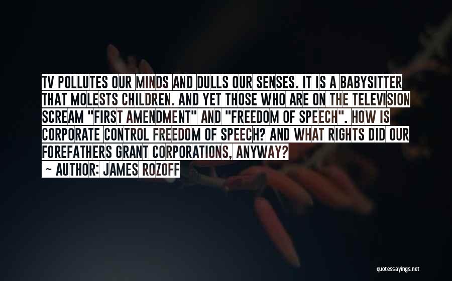 James Rozoff Quotes: Tv Pollutes Our Minds And Dulls Our Senses. It Is A Babysitter That Molests Children. And Yet Those Who Are