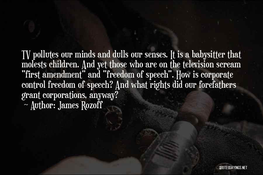 James Rozoff Quotes: Tv Pollutes Our Minds And Dulls Our Senses. It Is A Babysitter That Molests Children. And Yet Those Who Are