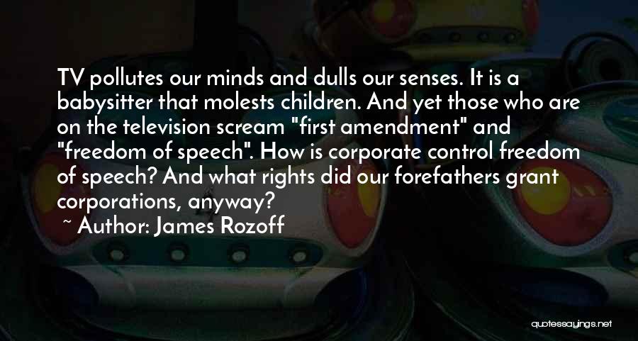 James Rozoff Quotes: Tv Pollutes Our Minds And Dulls Our Senses. It Is A Babysitter That Molests Children. And Yet Those Who Are