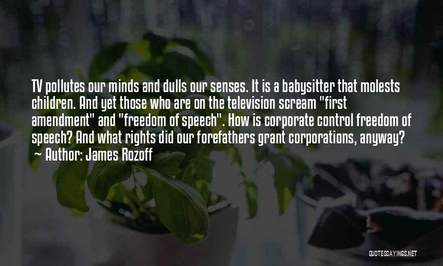 James Rozoff Quotes: Tv Pollutes Our Minds And Dulls Our Senses. It Is A Babysitter That Molests Children. And Yet Those Who Are