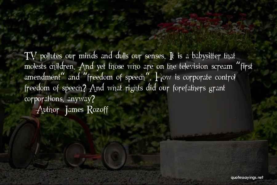 James Rozoff Quotes: Tv Pollutes Our Minds And Dulls Our Senses. It Is A Babysitter That Molests Children. And Yet Those Who Are