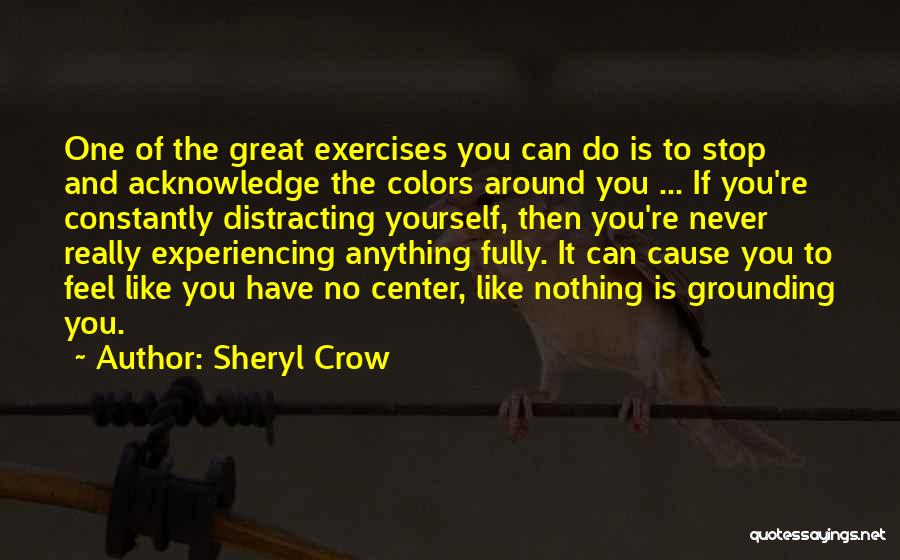 Sheryl Crow Quotes: One Of The Great Exercises You Can Do Is To Stop And Acknowledge The Colors Around You ... If You're