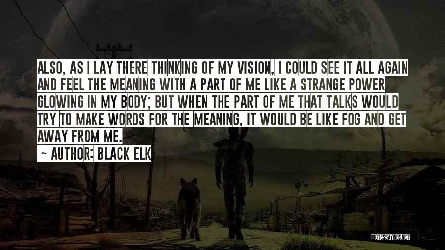 Black Elk Quotes: Also, As I Lay There Thinking Of My Vision, I Could See It All Again And Feel The Meaning With