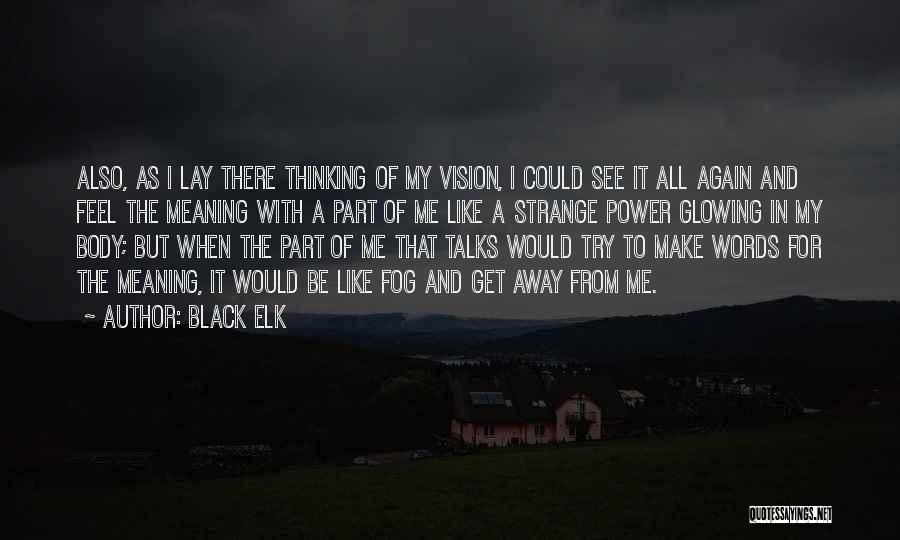 Black Elk Quotes: Also, As I Lay There Thinking Of My Vision, I Could See It All Again And Feel The Meaning With