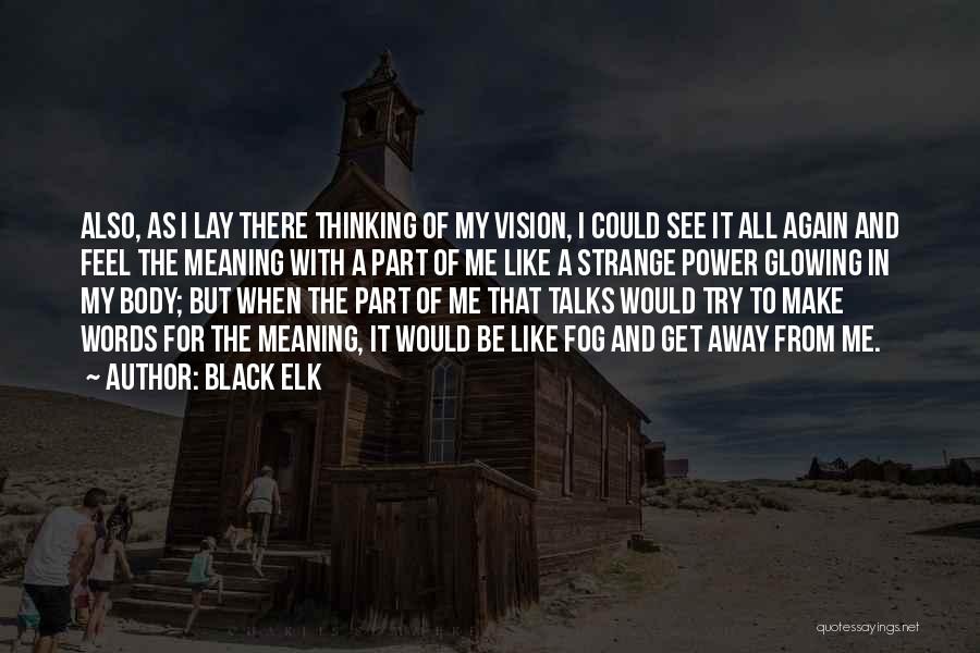 Black Elk Quotes: Also, As I Lay There Thinking Of My Vision, I Could See It All Again And Feel The Meaning With