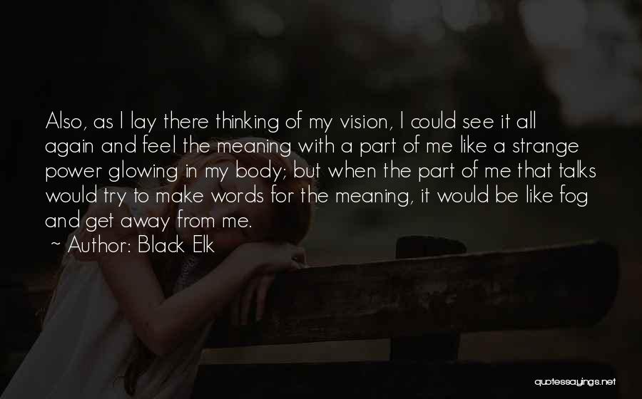 Black Elk Quotes: Also, As I Lay There Thinking Of My Vision, I Could See It All Again And Feel The Meaning With