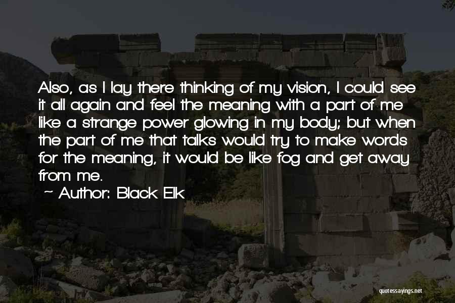 Black Elk Quotes: Also, As I Lay There Thinking Of My Vision, I Could See It All Again And Feel The Meaning With