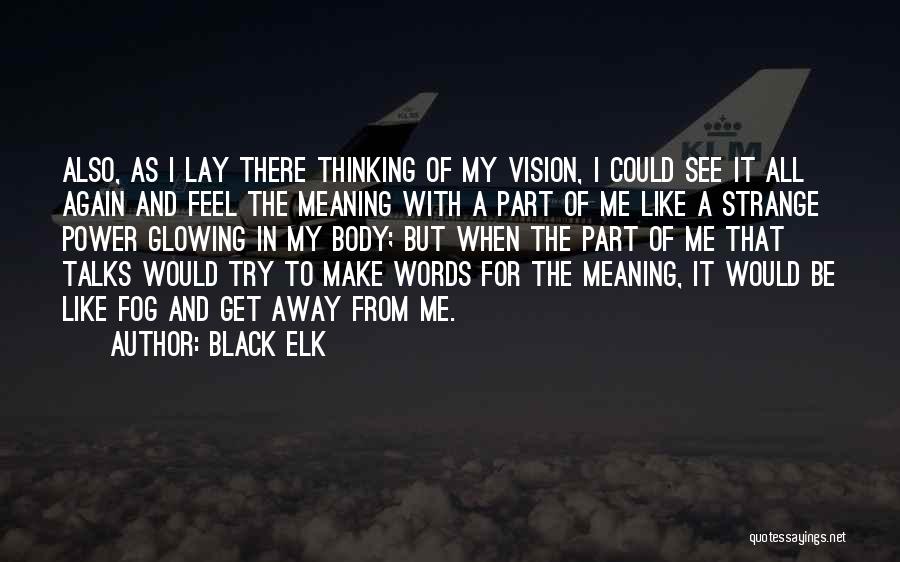 Black Elk Quotes: Also, As I Lay There Thinking Of My Vision, I Could See It All Again And Feel The Meaning With