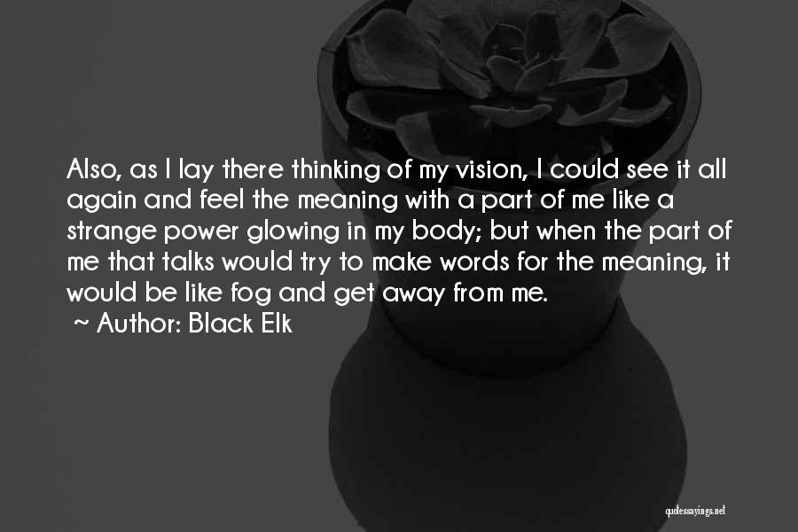 Black Elk Quotes: Also, As I Lay There Thinking Of My Vision, I Could See It All Again And Feel The Meaning With