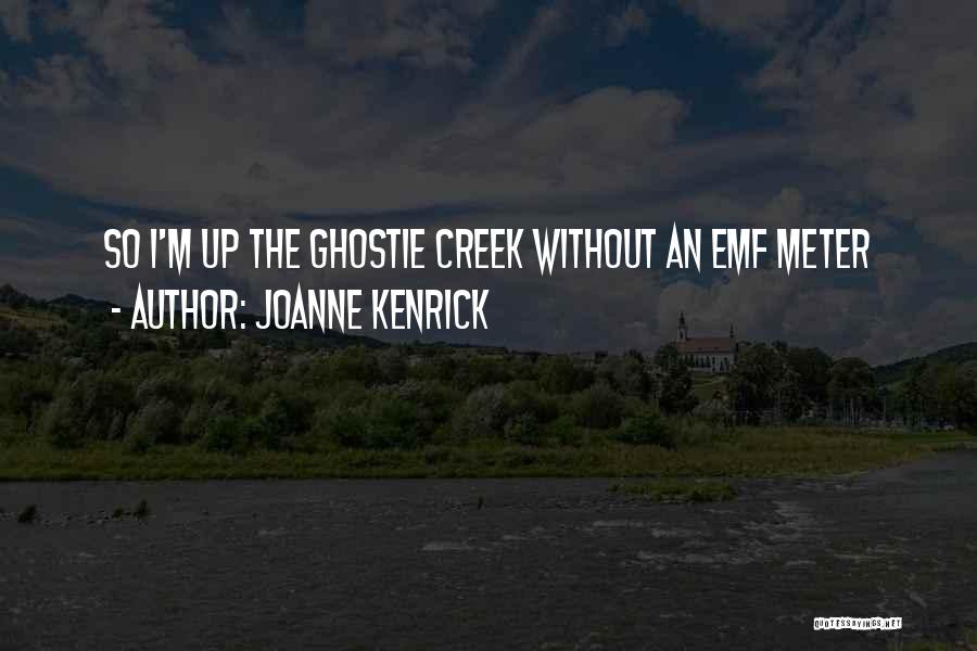 JoAnne Kenrick Quotes: So I'm Up The Ghostie Creek Without An Emf Meter