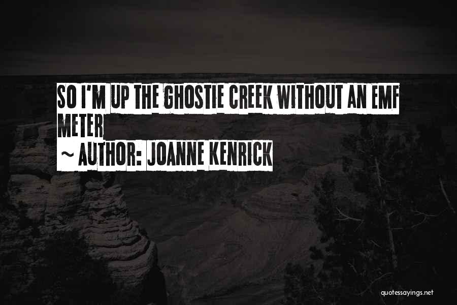 JoAnne Kenrick Quotes: So I'm Up The Ghostie Creek Without An Emf Meter