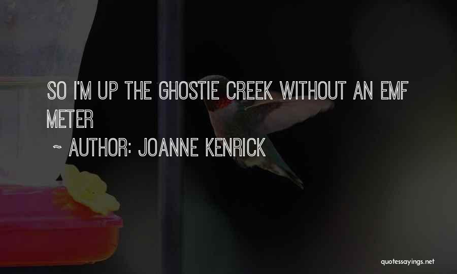 JoAnne Kenrick Quotes: So I'm Up The Ghostie Creek Without An Emf Meter